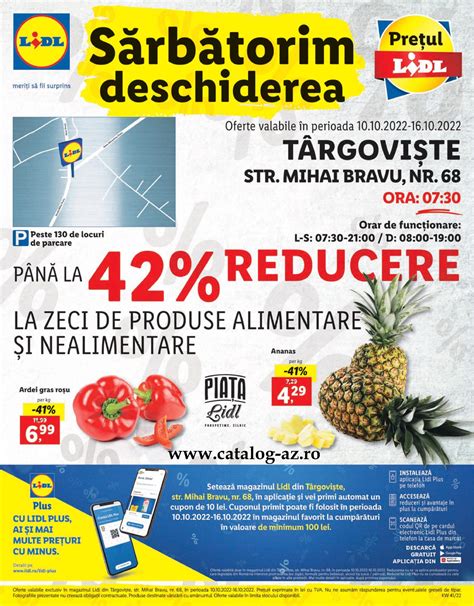 program lidl mizil|Lidl Mizil Str Mihai Bravu